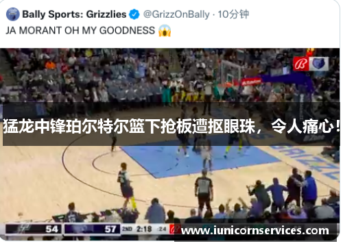 猛龙中锋珀尔特尔篮下抢板遭抠眼珠，令人痛心！